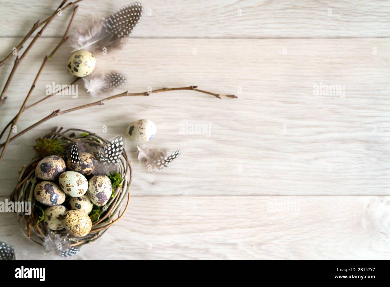 Les Œufs de pâques Quail et la plume d'oiseau nichent sur un fond rustique en bois avec espace de copie. Printemps, Pâques et concept de nourriture biologique saine. Banque D'Images