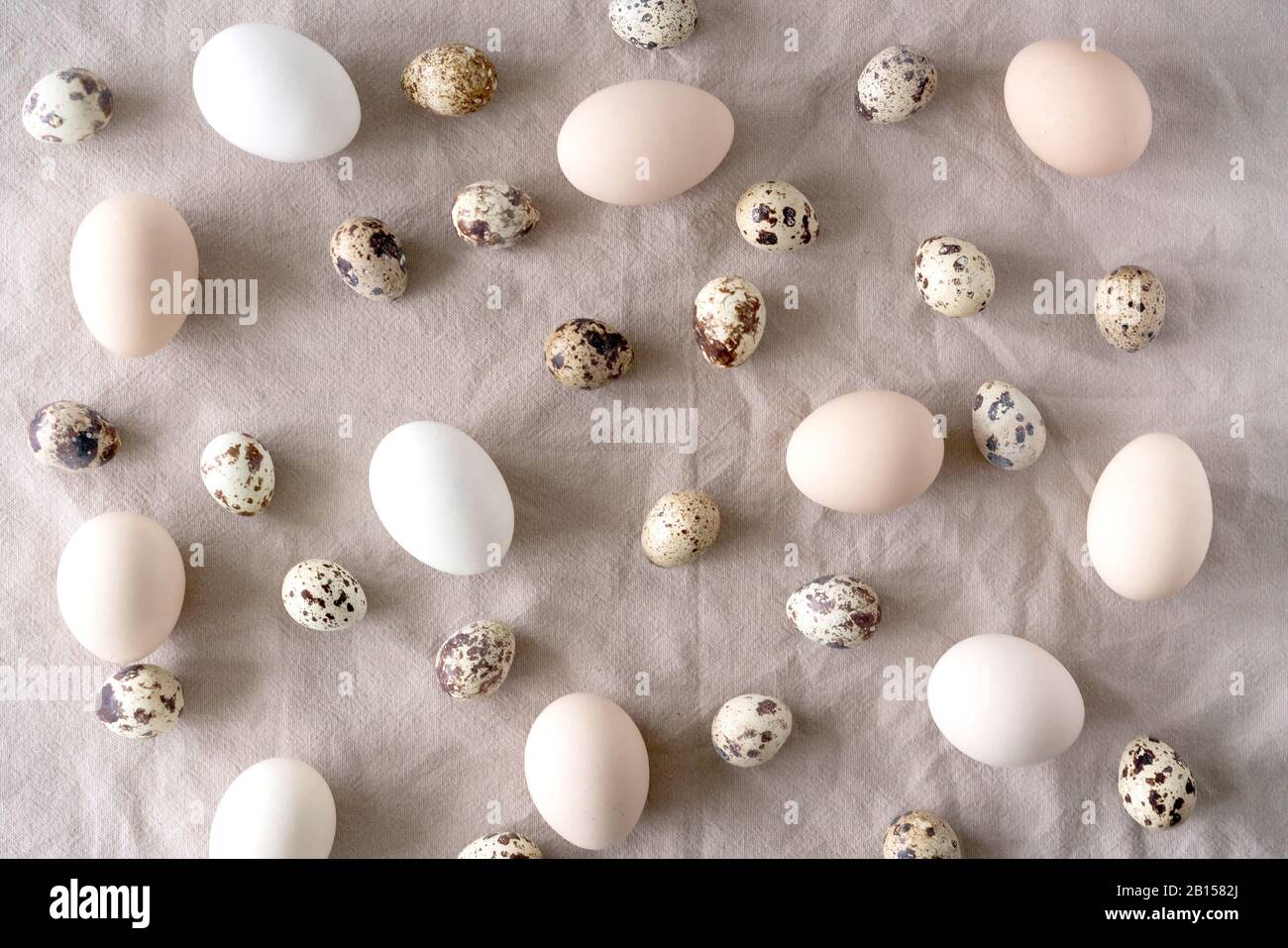 Œufs de Pâques blancs et bruns, œufs de caille et plumes sur fond de lin naturel. Fond de Pâques. Plat, vue du dessus. Pâques et concept de nourriture biologique saine. Banque D'Images