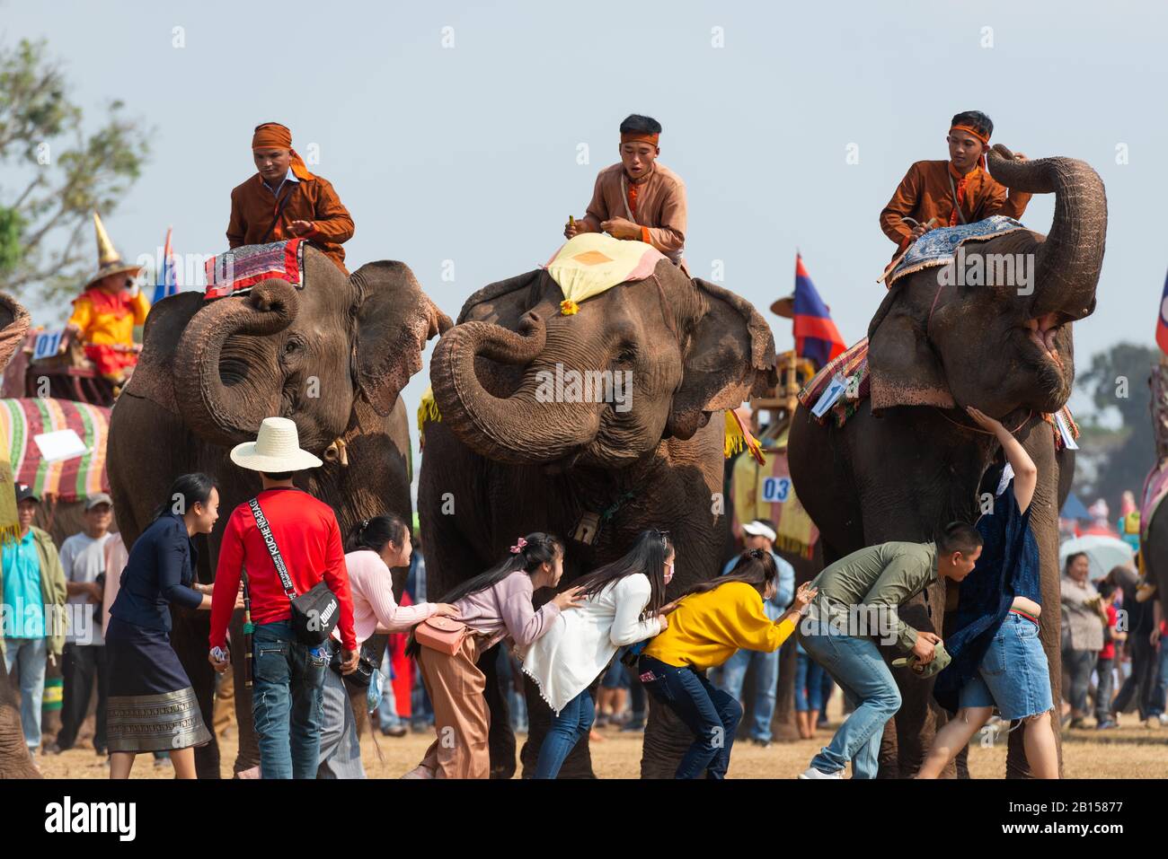 (200223) -- XAYABOURY, le 23 février 2020 (Xinhua) -- les éléphants interagissent avec les touristes au Festival de l'éléphant 2020 qui s'est tenu dans la province du nord du Laos, à Xayaboury, le 22 février 2020. Le festival annuel a lieu depuis 2007 dans la province de Xayaboury, qui dure du 22 février au 28 février de cette année. (Photo De Kaikeo Saiyasane/Xinhua) Banque D'Images