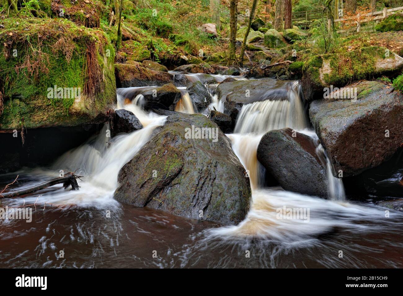 Wyming Brook,réserve naturelle,cascades de chutes d'eau,district de pic,Sheffield,Angleterre,Royaume-Uni Banque D'Images