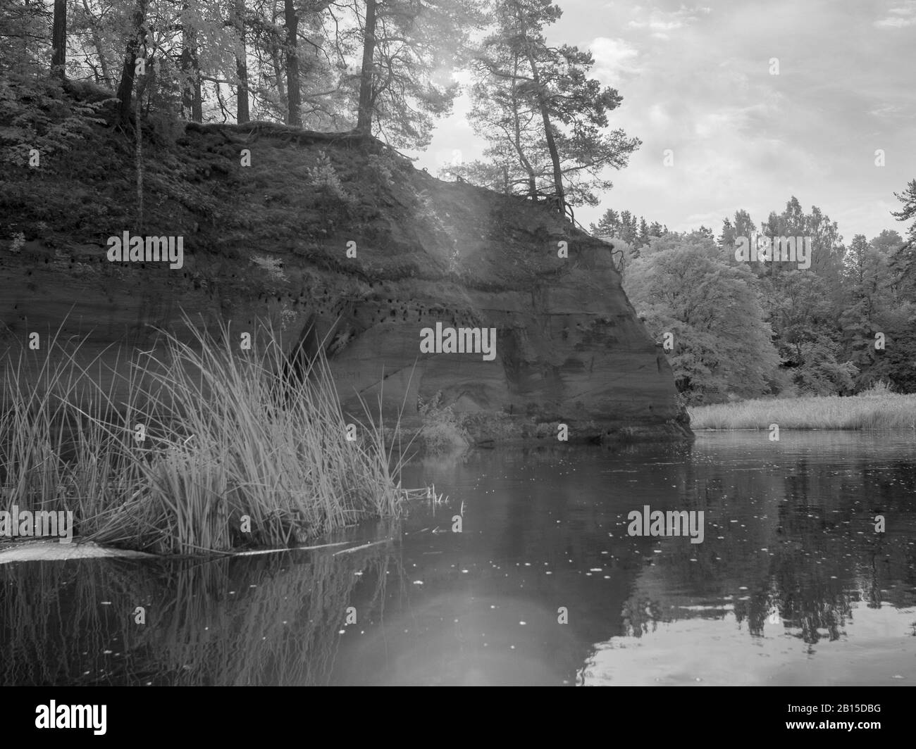 photo infrarouge : paysage de la rivière et de magnifiques arbres et réflexions, notre monde de l'art et des plantes dans le spectre de la caméra infrarouge Banque D'Images