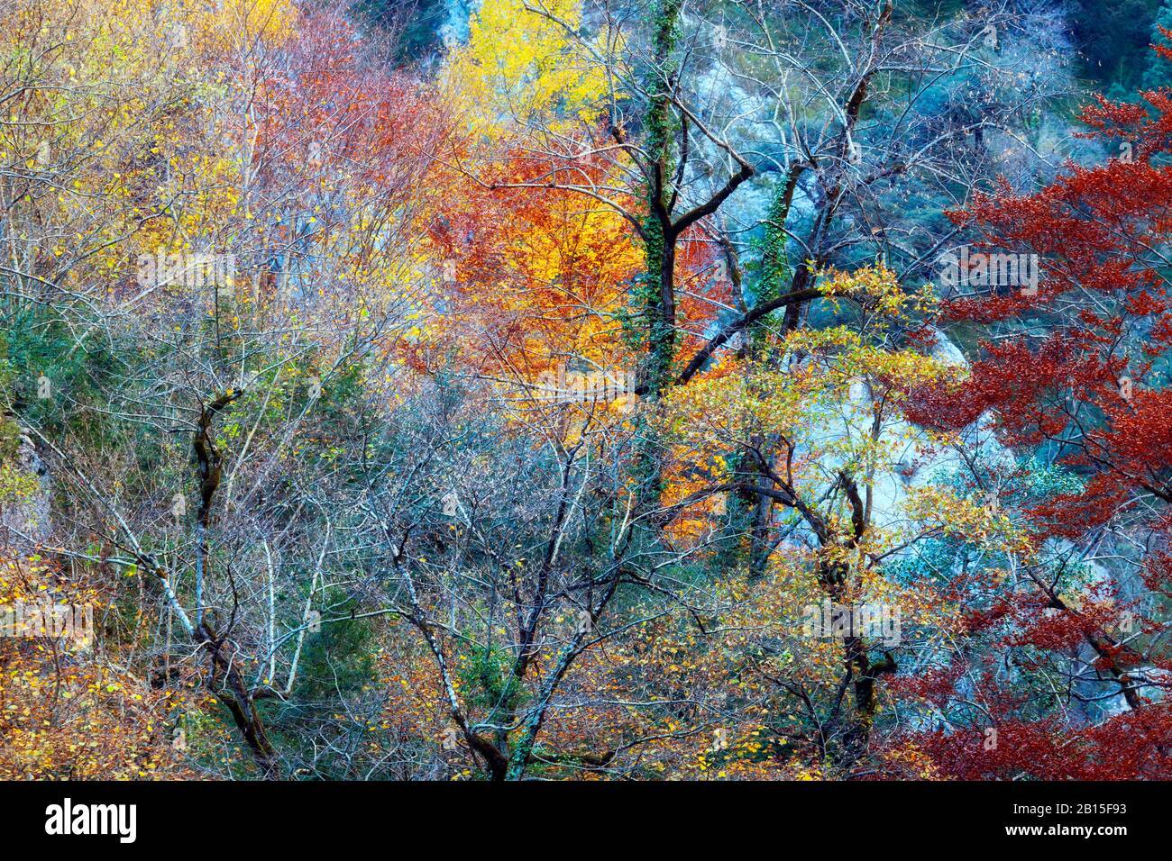 Paysage impressionniste. Couleurs d'automne dans le parc national d'Ordesa y Monte Perdido Banque D'Images