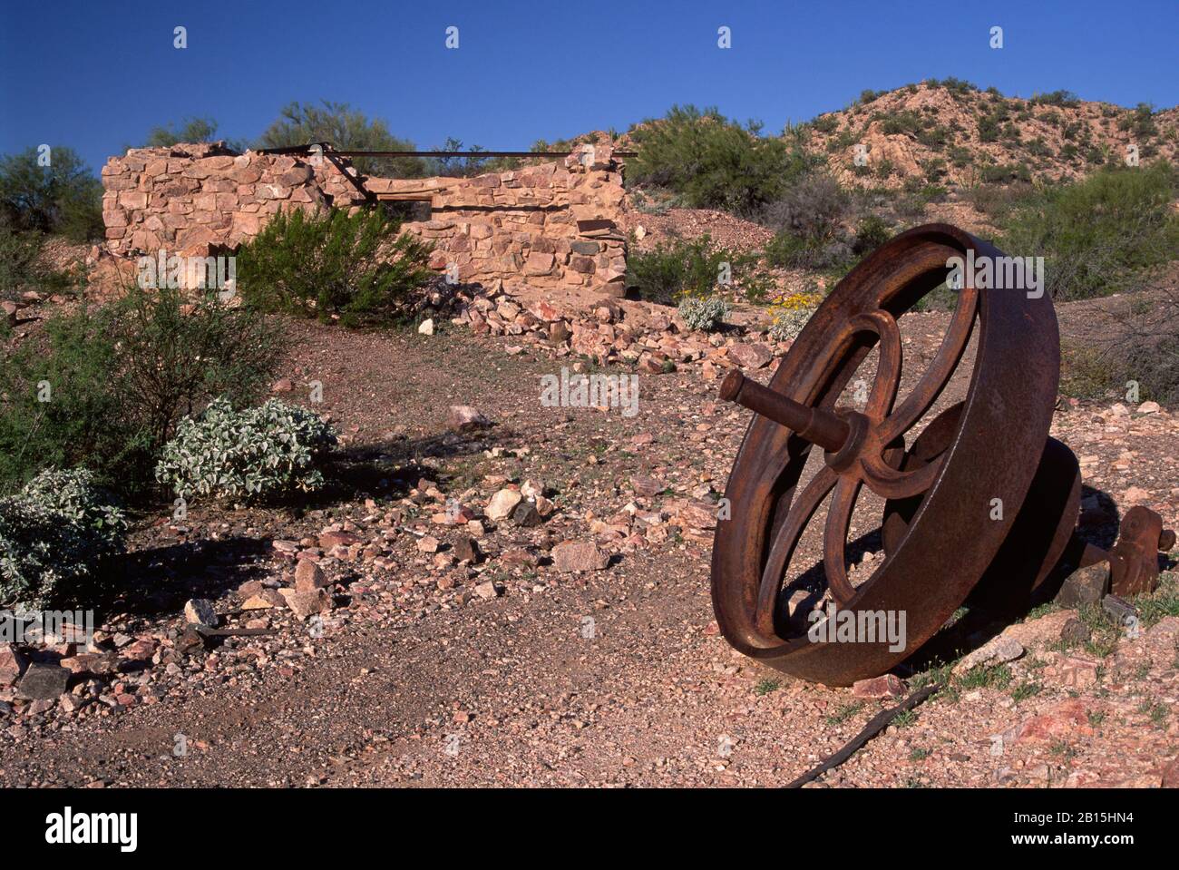 Victoria Mine Volant, Monument National De Cactus, Arizona Banque D'Images