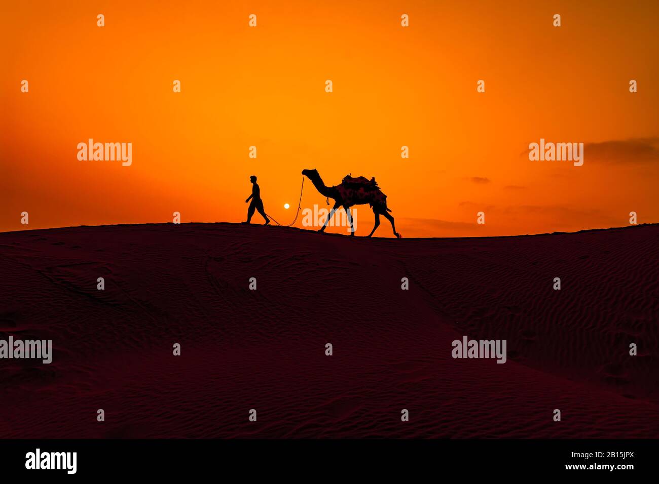 Caméléers, pilotes de chameaux au coucher du soleil. Désert de Thar au coucher du soleil Jaisalmer, Rajasthan, Inde. Banque D'Images