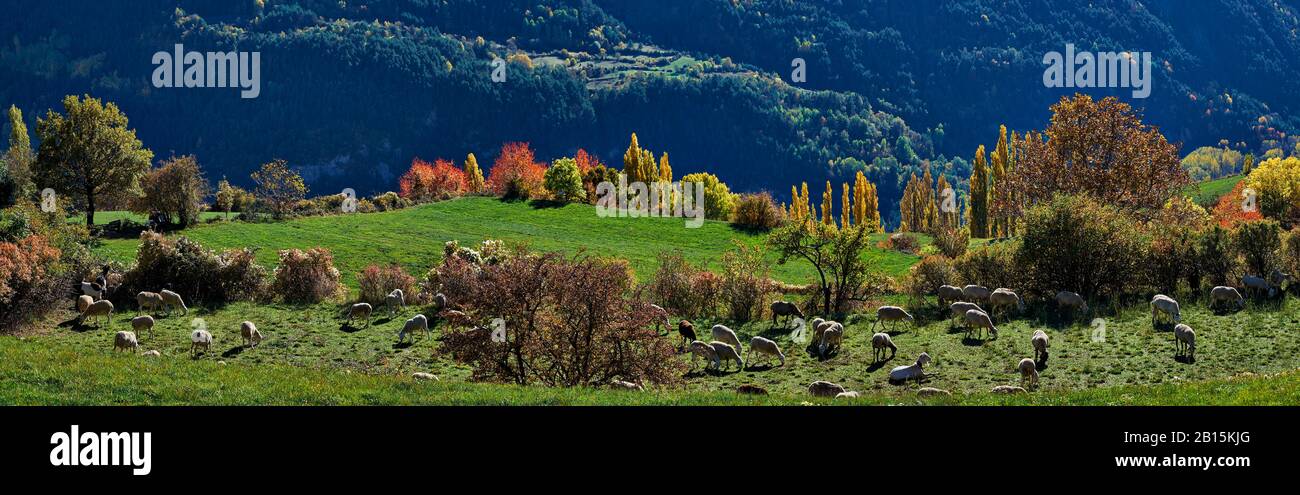 Le paysage idyllique de la vallée du Gistain. Pyrénées de Huesca. Espagne Banque D'Images