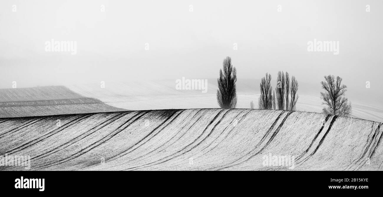 L'hiver en Castille. Segovia paysage. Champs couverts de neige. Banque D'Images