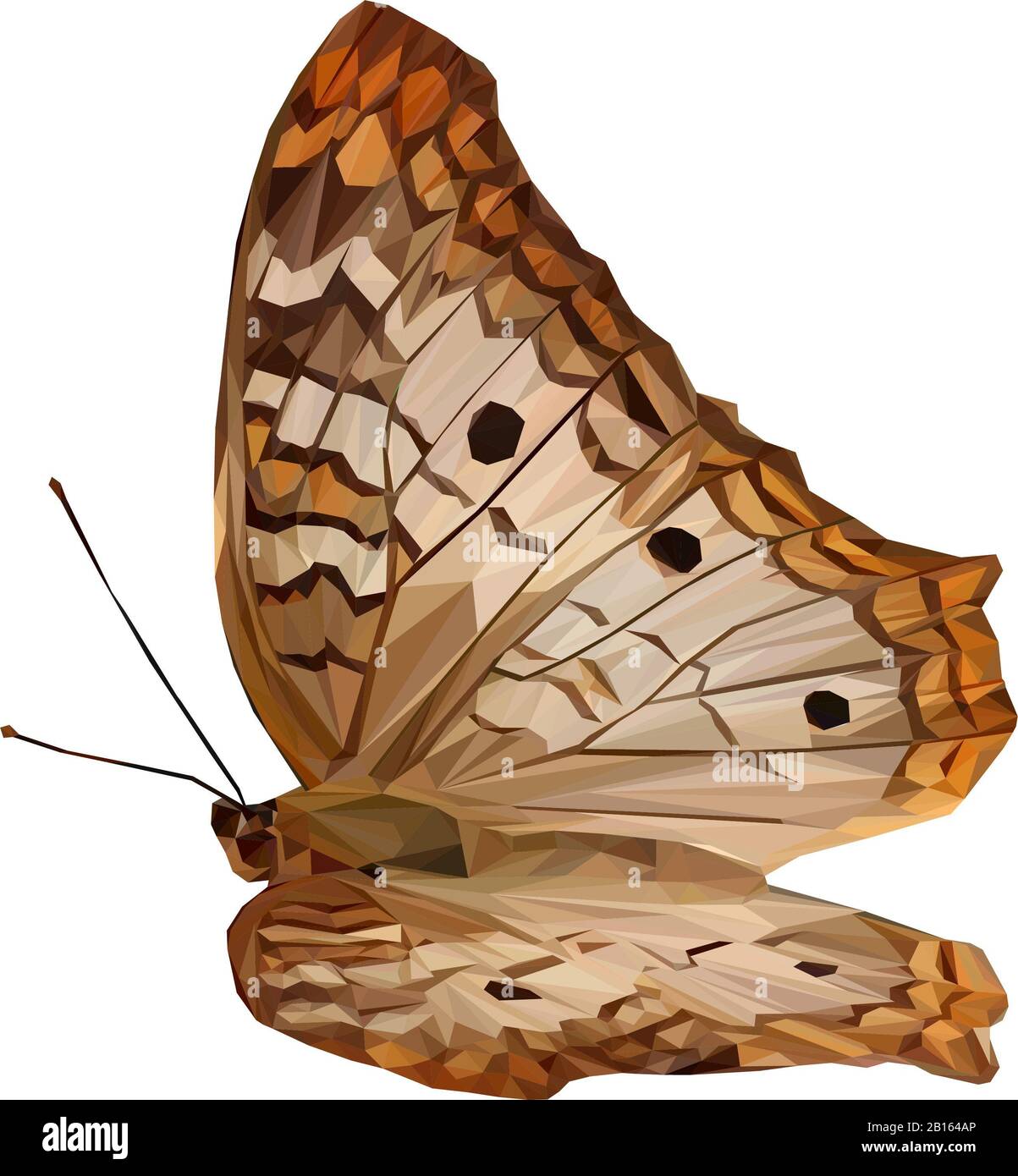 Illustration poly basse d'un papillon marron Banque D'Images