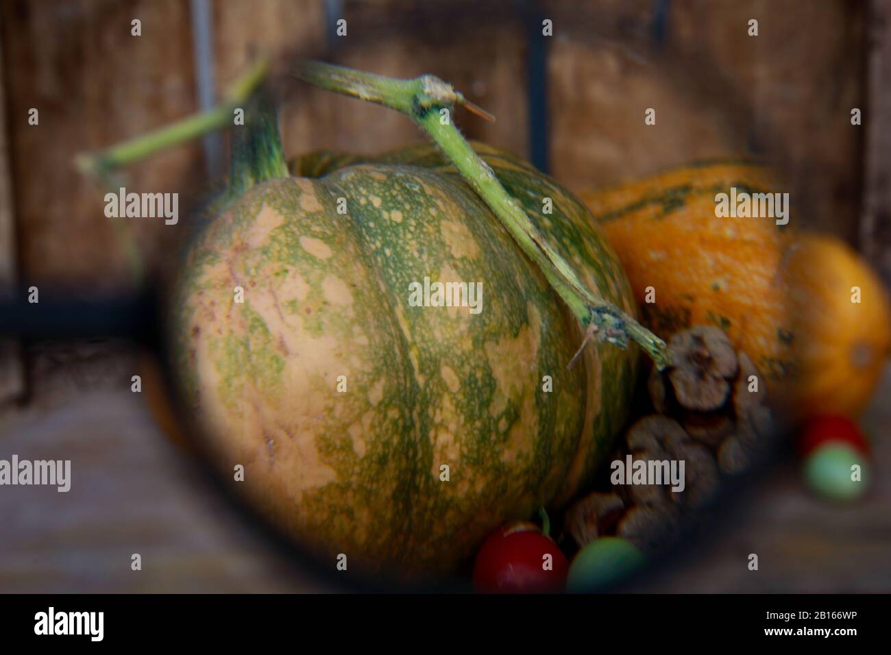 zucca e zucchine sotto lente di ingrancotto Banque D'Images
