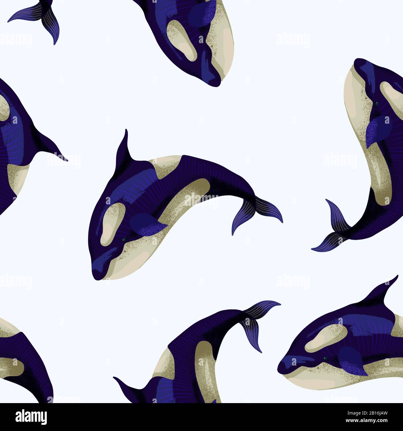 Motif transparent avec orca. Vecteur. Illustration de Vecteur