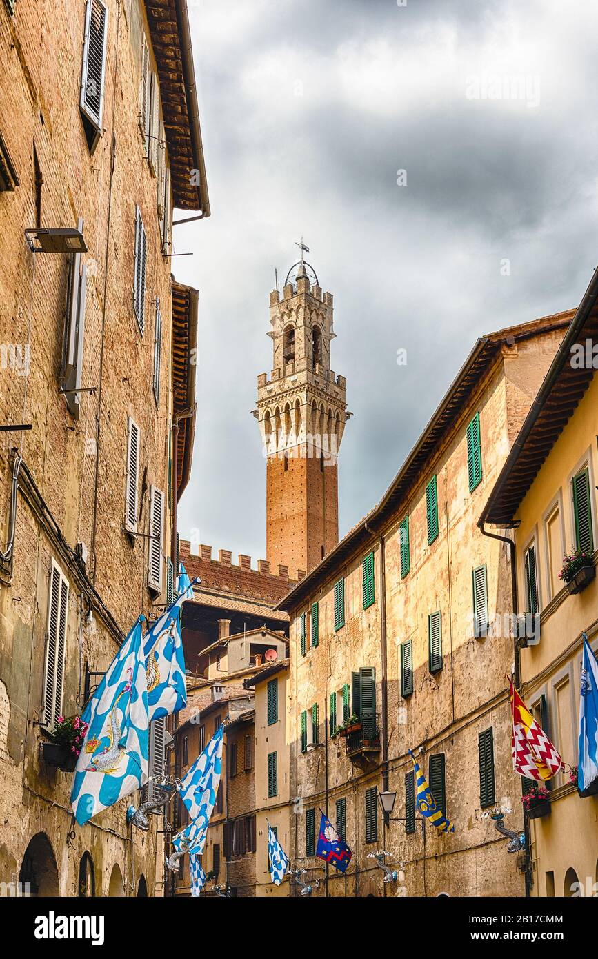 Promenez-vous dans les rues pittoresques du centre-ville médiéval de Sienne, l'une des attractions touristiques les plus visitées de la nation en Italie Banque D'Images