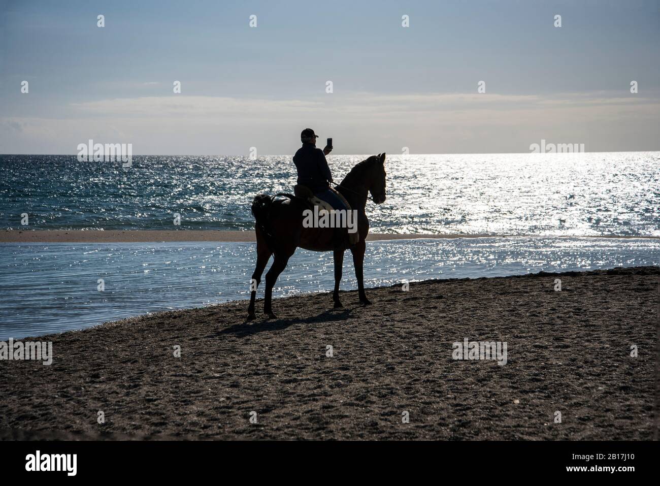 L'Andalousie est célèbre pour ses belles chevaux Banque D'Images