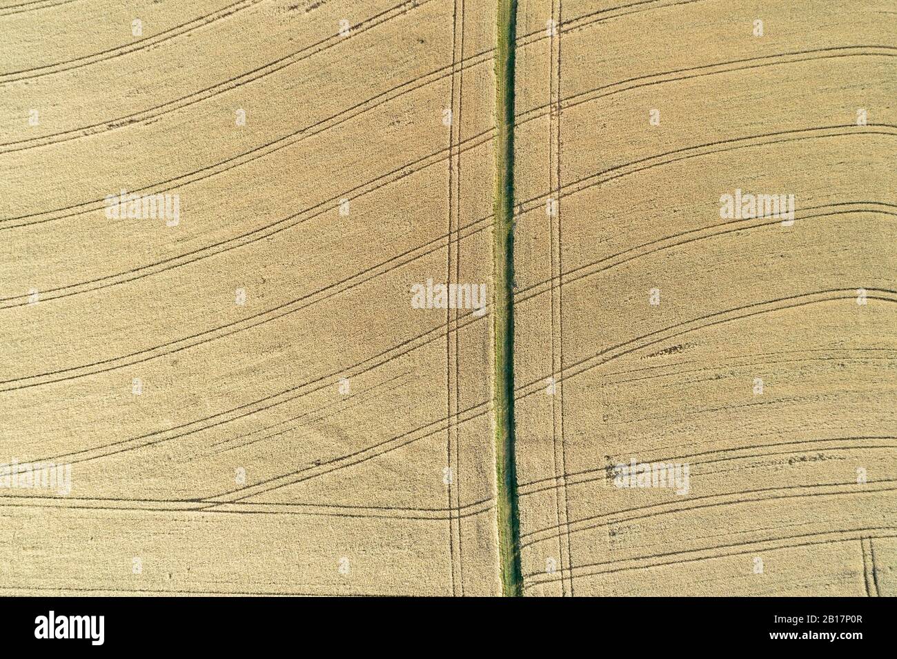 Vue aérienne de la route rurale de la terre (voie des pneus) à travers les champs agricoles de grains mûrs, plein cadre. Franconie, Bavière, Allemagne, Europe. Banque D'Images