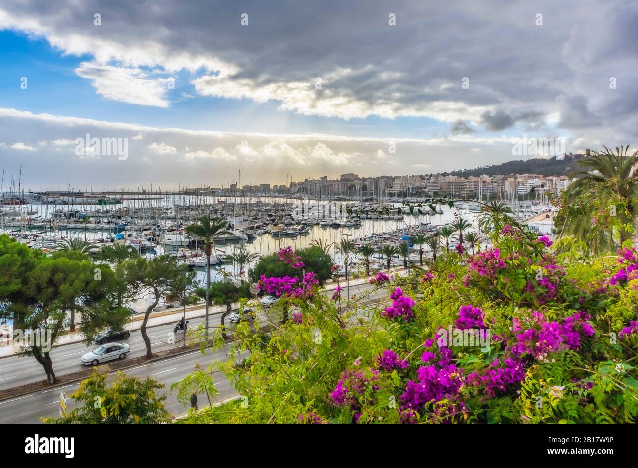 Espagne, Majorque, Palma, port et route côtière Banque D'Images
