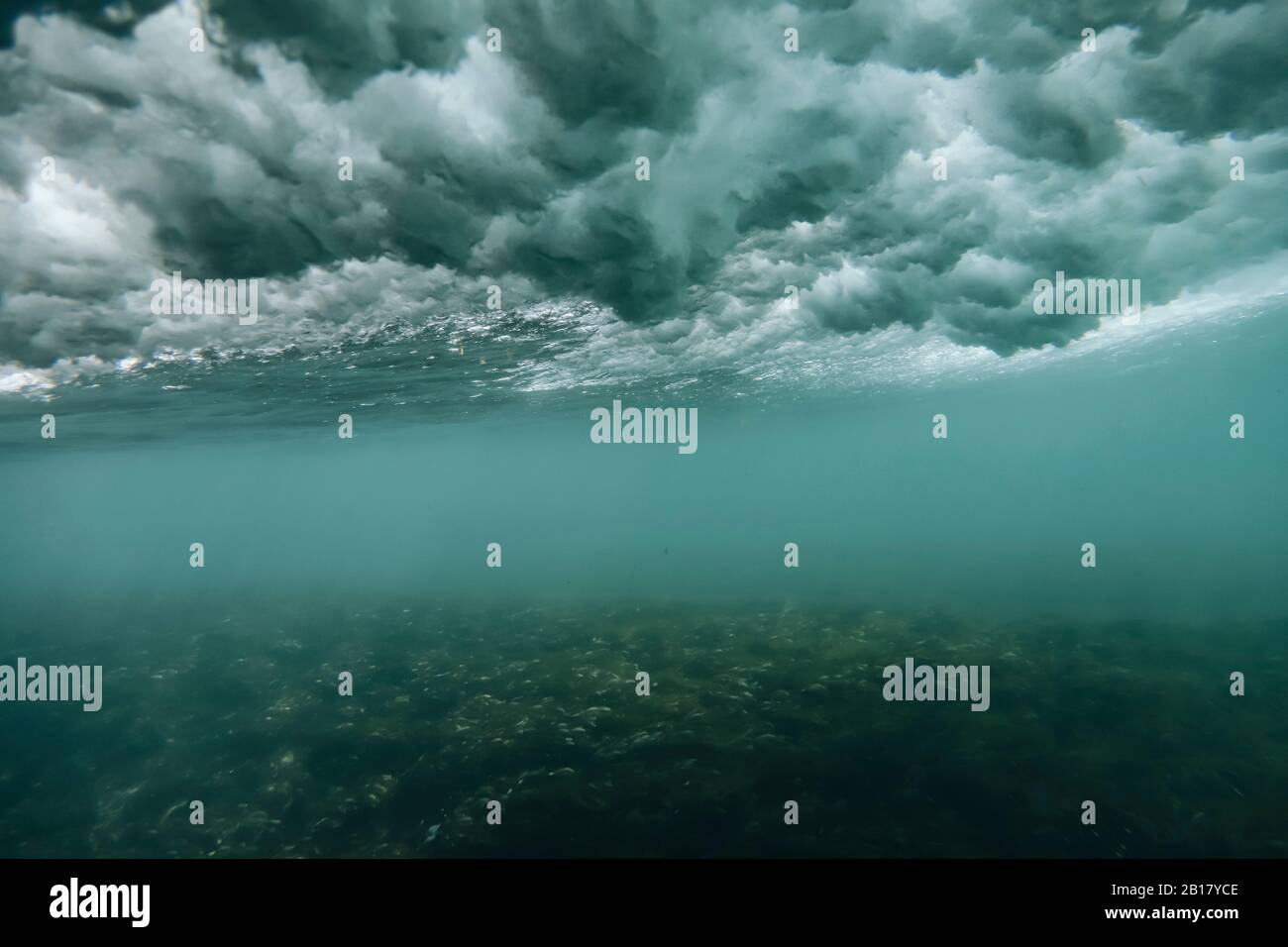 Indonésie, Bali, vue sous-marine de la vague de l'océan Banque D'Images