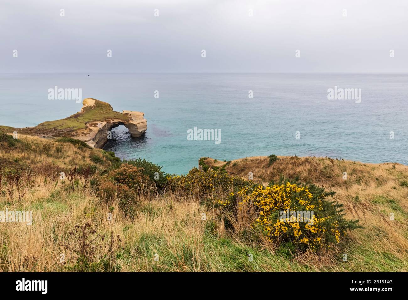 Nouvelle-Zélande, Océanie, Ile du Sud, Otago, Dunedin, falaises de Sandstone à Tunnel Beach Banque D'Images