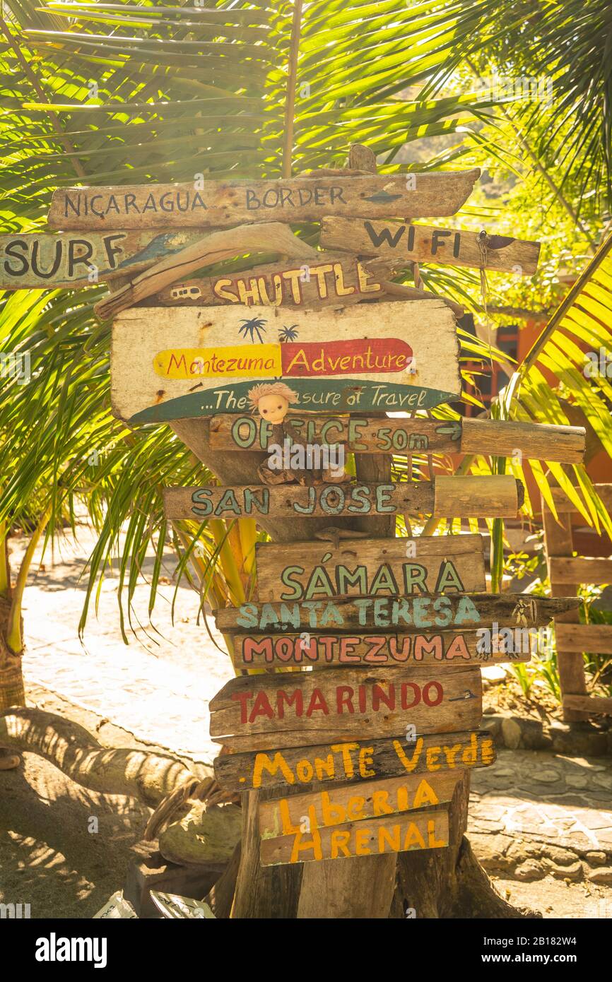 Costa Rica, Province de Puntarenas, Montezuma, palmier couvert de divers panneaux directionnels Banque D'Images