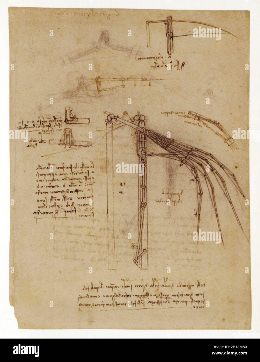 Léonard de Vinci. Etude pour aile mécanique. 1493-1495. Banque D'Images