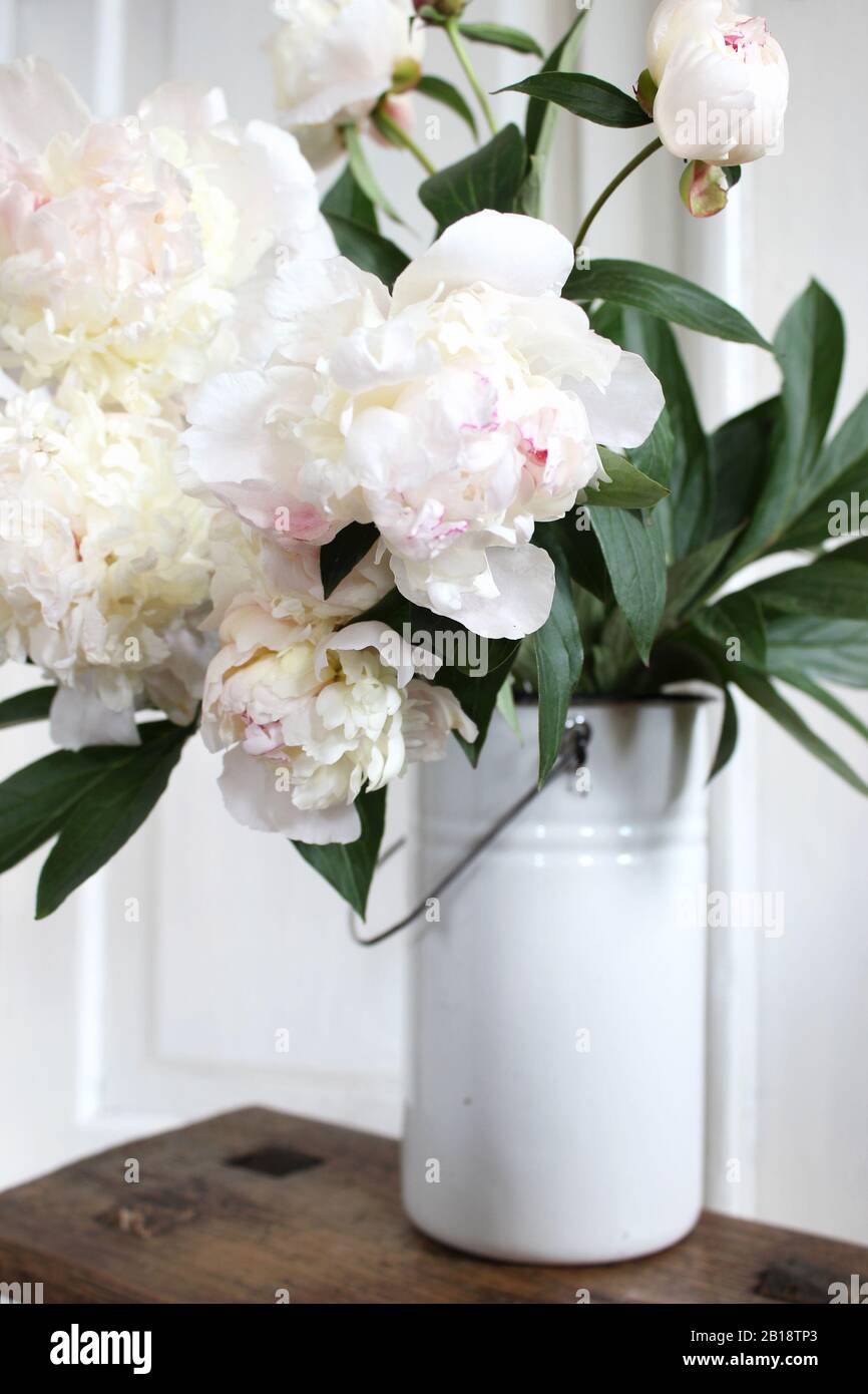 Décoration Intérieure Avec Fleurs. Bouquet de pivoines de Creamy à Vase sur le Pool en bois. Banque D'Images