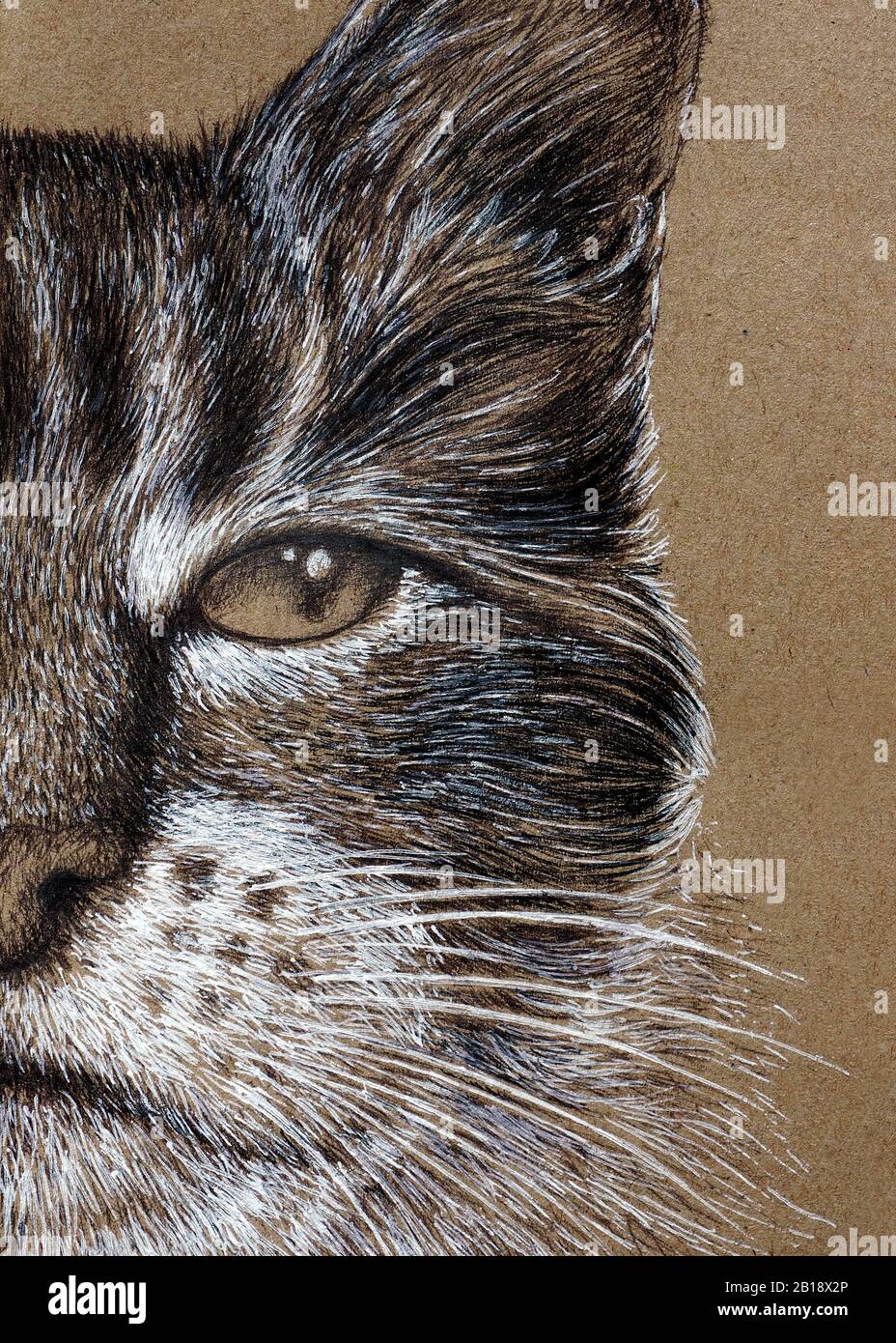 Peinture faciale de Cat avec encre blanche et noire sur papier kraft marron Banque D'Images