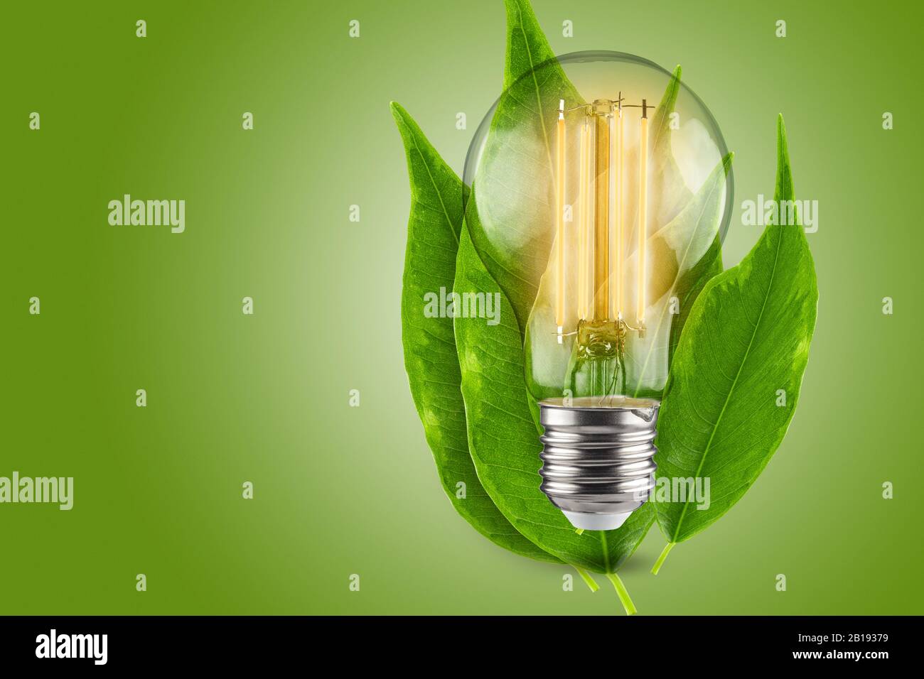 Concept d'efficacité énergétique des lampes LED. Feuilles vertes d'une plante en arrière-plan. Banque D'Images