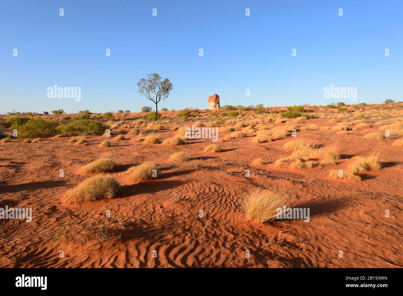 Vue sur l'arrière-pays australien aride autour de Chambers Pillar, territoire du Nord, territoire du Nord, Australie Banque D'Images