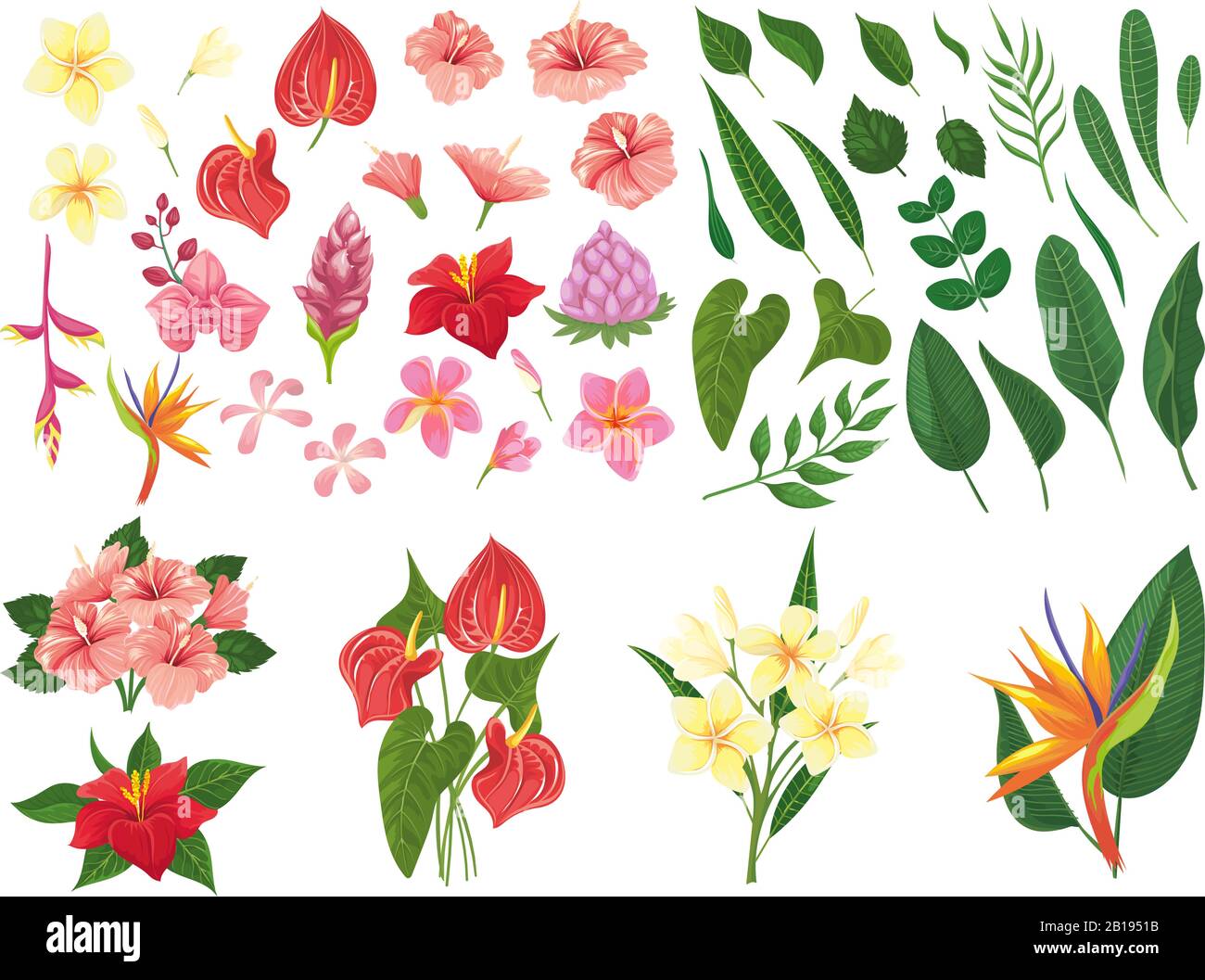 Fleur tropicale. Fleurs de forêts tropicales, plantes tropicales exotiques feuilles et fleurs de branches vectorielles jeu d'illustrations Illustration de Vecteur