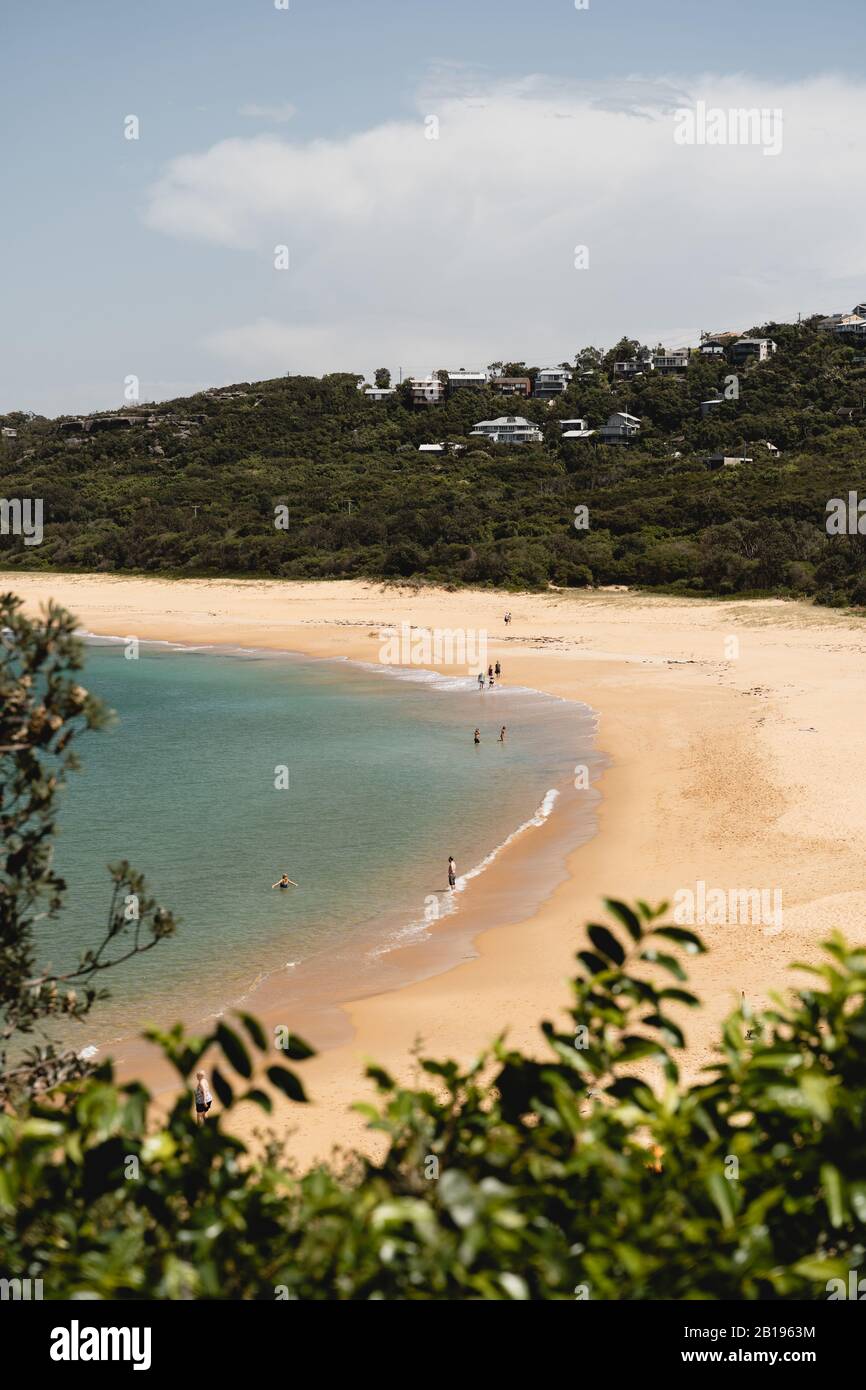 Putty Beach dans le parc national Bouddi pour une journée d'été lumineuse. Banque D'Images