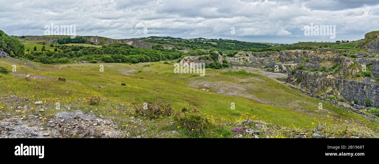 Minera Limestone Quarry est maintenant une réserve de réserve naturelle de la Pays de Galles du Nord Minera North Wales Royaume-Uni 9 juillet 2019 900304 Banque D'Images