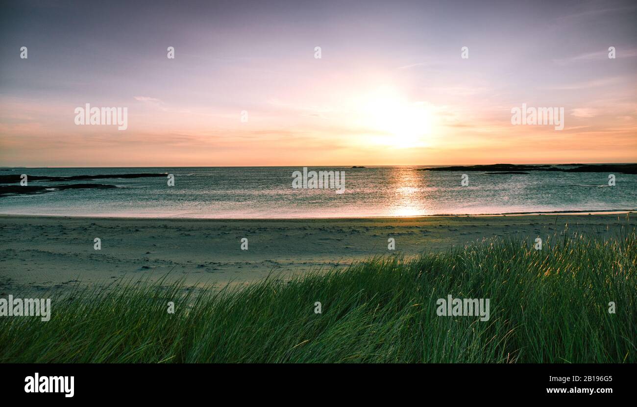 L'herbe macreuse souffle dans le vent au crépuscule, Sanna Bay, Ardnamurchan Peninsula, Ecosse Banque D'Images