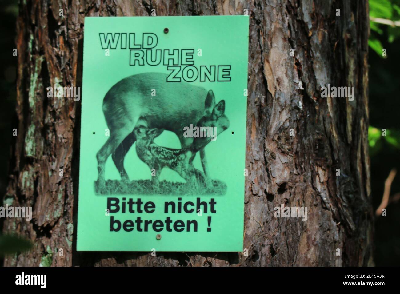 Connectez-vous à une forêt, protection des jeux, Allemagne Banque D'Images
