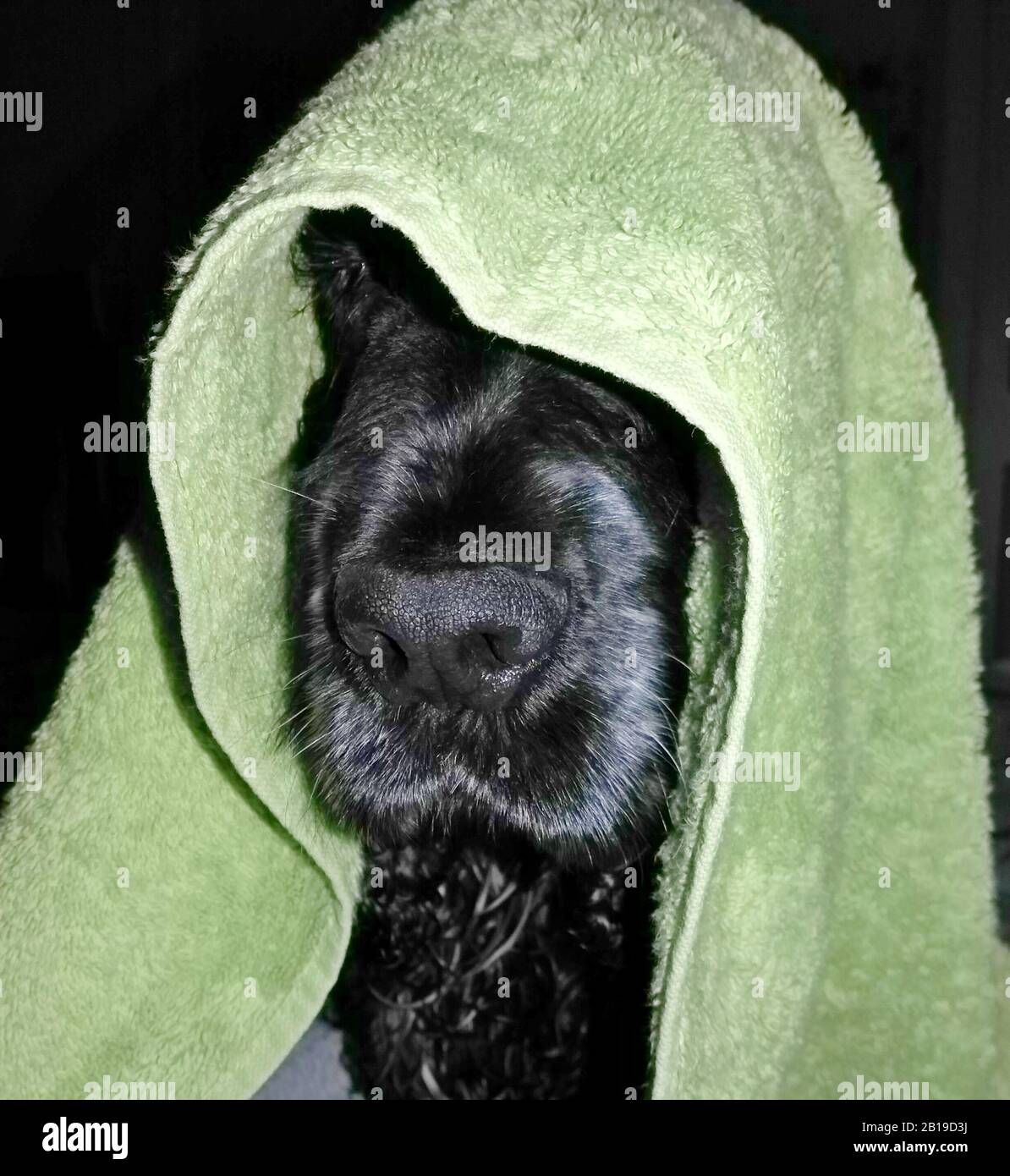 Wan Kenobi Obi Banque D'Images