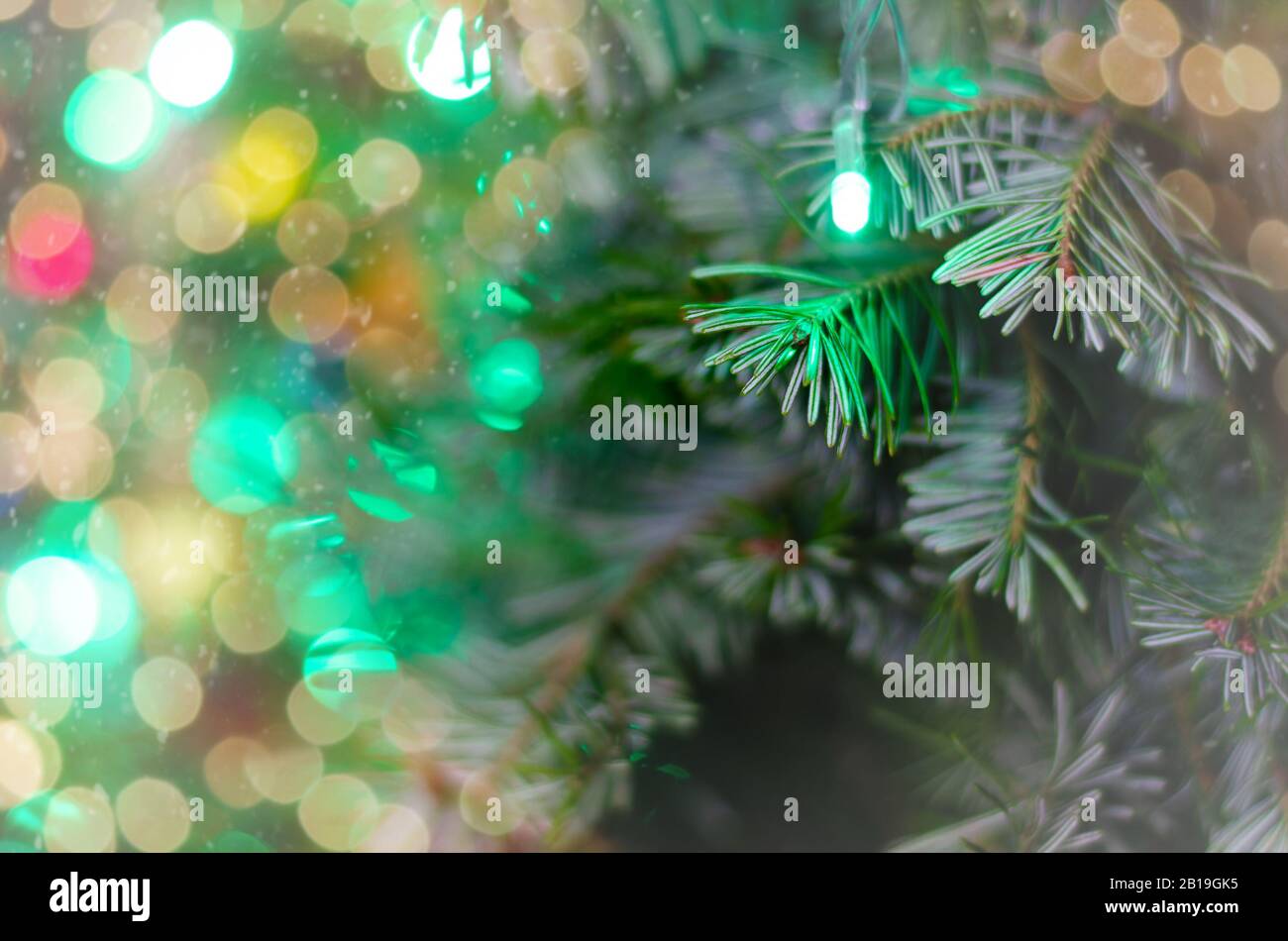 Guirlande lumineuse verte sur l'arbre de Noël, à proximité. Banque D'Images