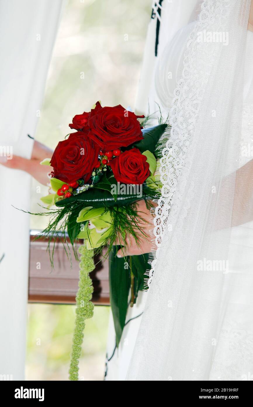 Mains de mariée avec bouquet de roses rouges. Banque D'Images