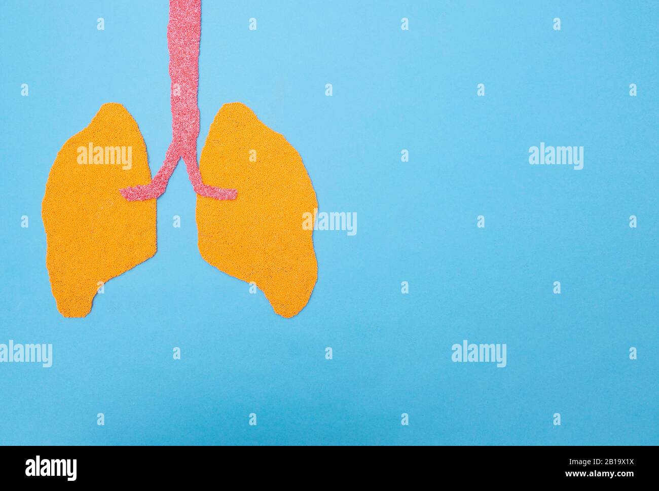 Poumons humains sur fond bleu. Concept de transplantation pulmonaire humaine, maladies, pneumonie, cancer du poumon, espace de copie Banque D'Images