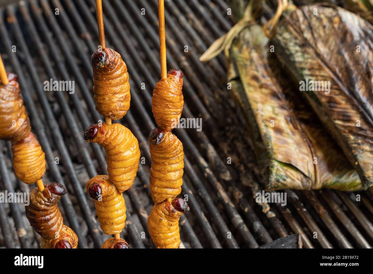 Larves comestibles de charançon de palmier (Rhynchophorus phoenicis) sur le marché alimentaire traditionnel de Puerto Francisco de Orellana. Équateur. Amazon. Banque D'Images