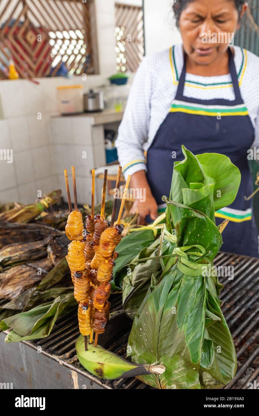 Larves comestibles de charançon de palmier (Rhynchophorus phoenicis) sur le marché alimentaire traditionnel de Puerto Francisco de Orellana. Équateur. Amazon. Banque D'Images