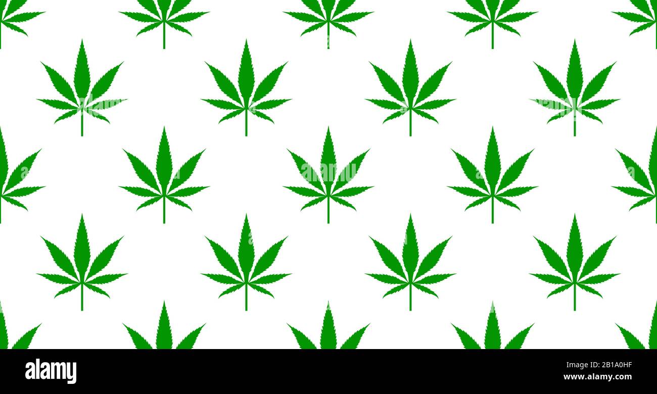 Modèle sans couture avec feuilles vertes de marijuana, fond avec cannabis. Illustration vectorielle Illustration de Vecteur