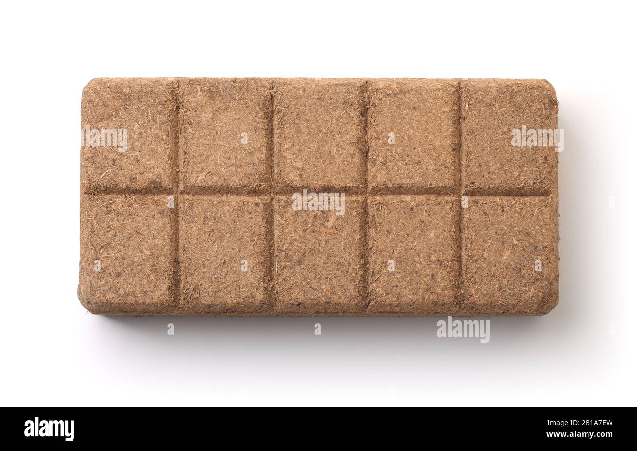 Vue de dessus de la briquettes de tourbe de noix de coco pressée isolée sur blanc Banque D'Images