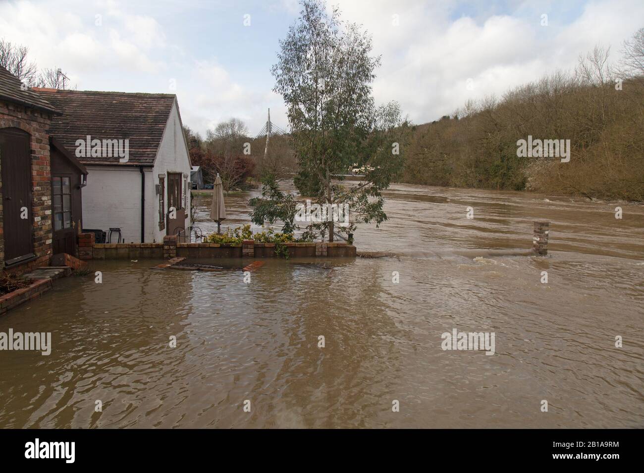 Ironbridge, Shropshire. 24 février 2020. Météo au Royaume-Uni : la rivière Severn, qui est tombée de ses niveaux d'inondation la semaine dernière, est de nouveau en hausse, mettant à nouveau en danger les maisons et les entreprises dans la gorge d'Ironbridge. Les niveaux devraient dépasser les hauteurs des dernières semaines et peuvent dépasser les niveaux record de 2000. La rivière devrait culminer mardi matin. Crédit: Rob Carter/Alay Live News Banque D'Images