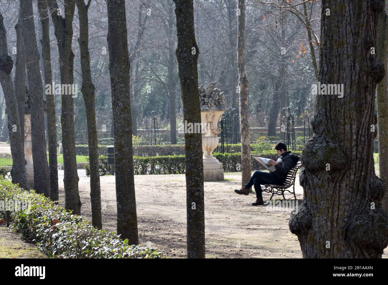 Homme adulte assis sur un banc dans les jardins d'Aranjuez en Espagne Banque D'Images