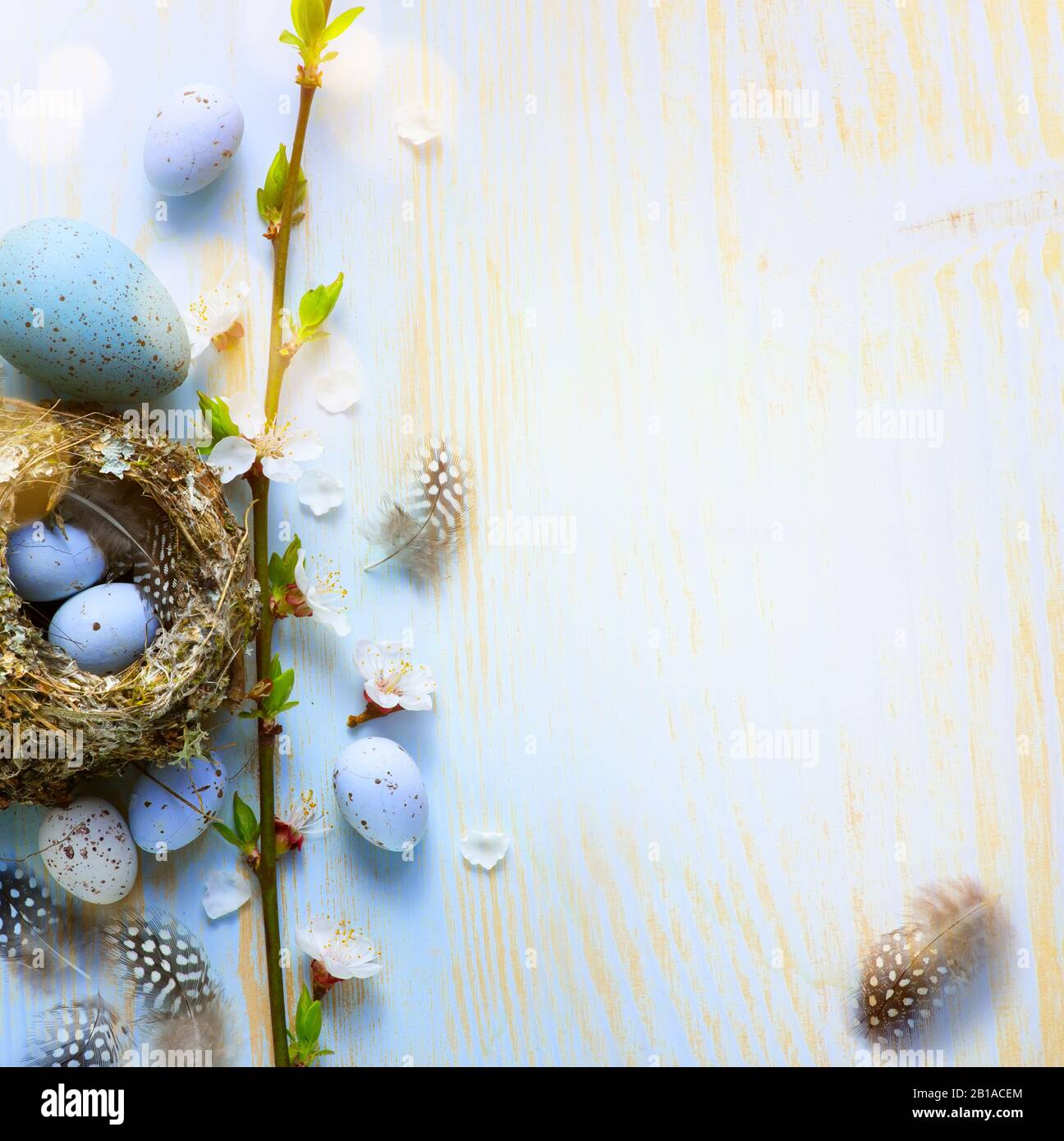 La bannière de Pâques ou le fond de carte de vœux; les fleurs d'arbre de printemps et les œufs de Pâques dans les oiseaux nichent sur fond ensoleillé en bois clair Banque D'Images