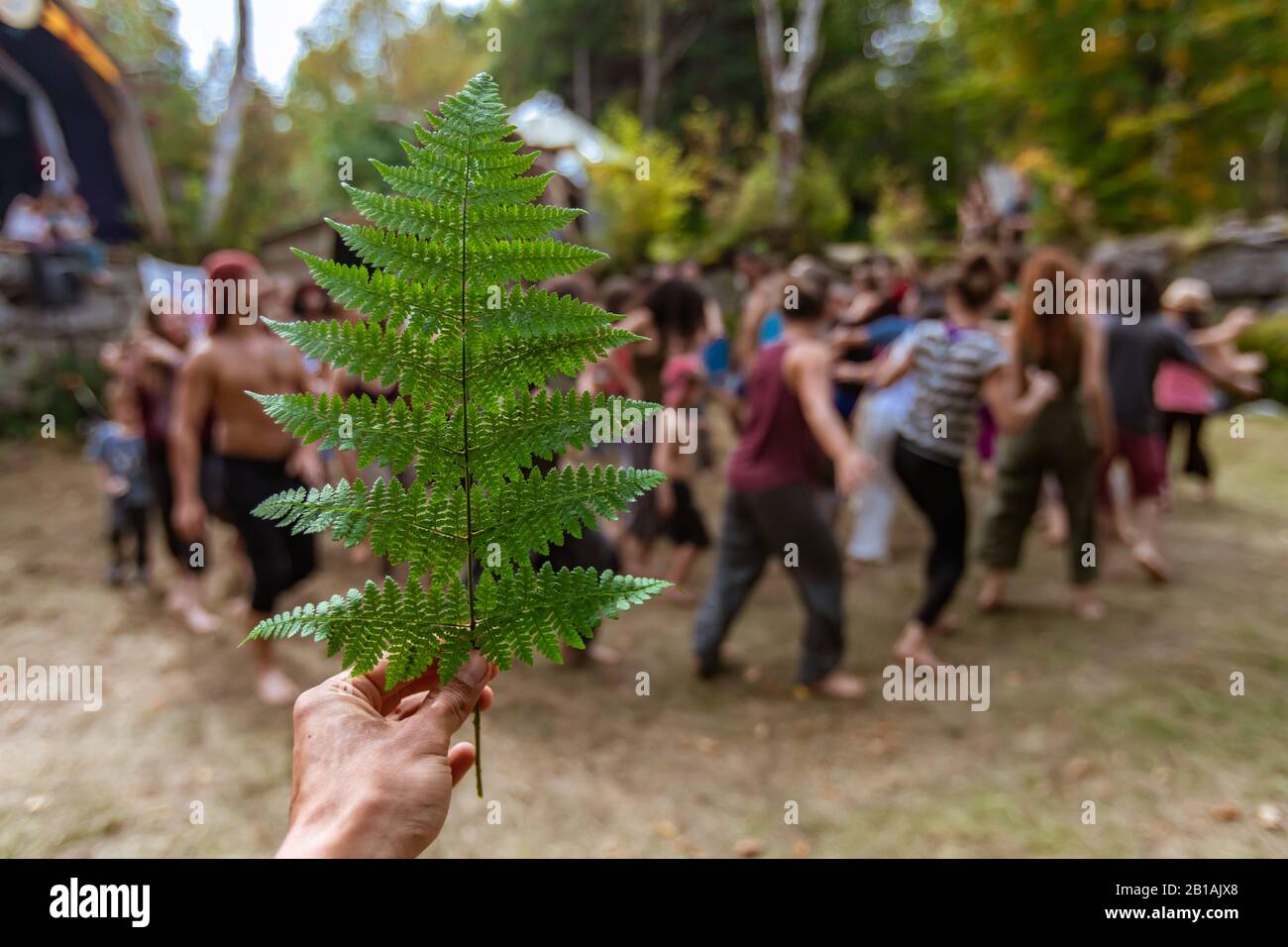 Une première personne sélective de foyer d'une main tenant une feuille verte de fougères, contre un fond flou de personnes dansant au festival célébrant la terre Banque D'Images