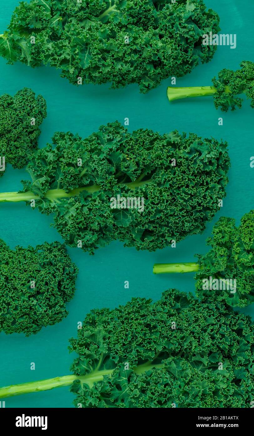 Mise en page créative faite de kale. Mise à plat. Concept alimentaire. Banque D'Images