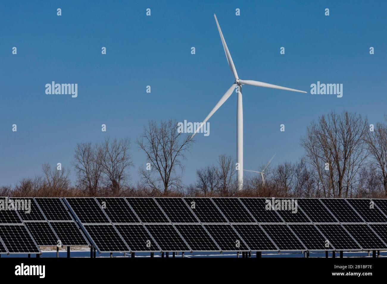 Bad Ax, Michigan - Panneaux solaires et un parc éolien dans la région de Thumb au Michigan. Banque D'Images