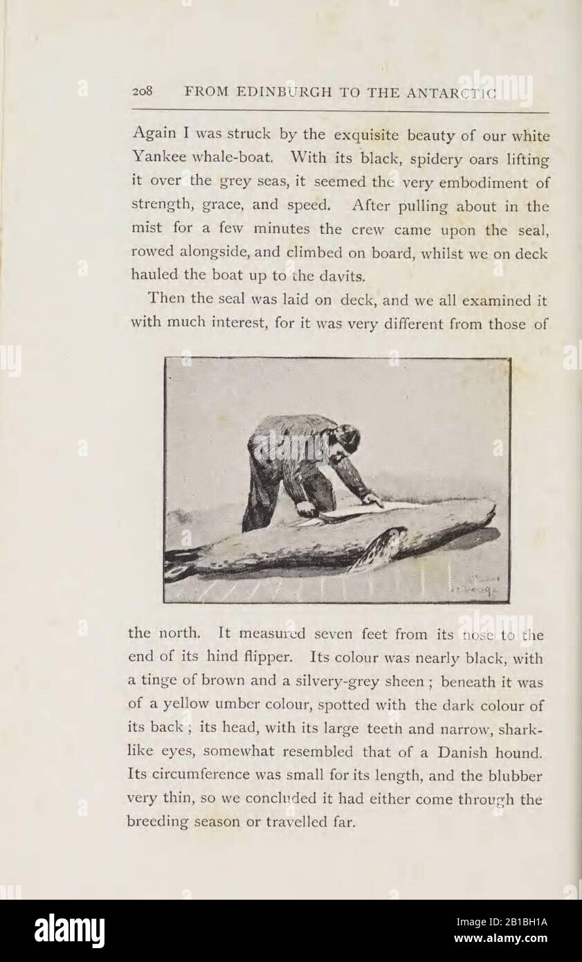 D'Edimbourg à l'Antarctique. Vue d'artiste de notes et croquis au cours de l'expédition Antarctique Dundee de 1892-1893 (page 208) Banque D'Images