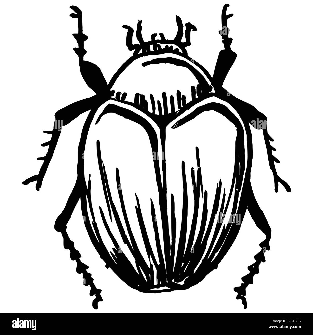 Mignonne bande dessinée géante de coléoptères de fruits vecteur clipart. Insecte nuisible pour le jardin. Caniche naive d'arthropodes d'insectes biologiques ailés. Doodle de la faune de la cour Illustration de Vecteur
