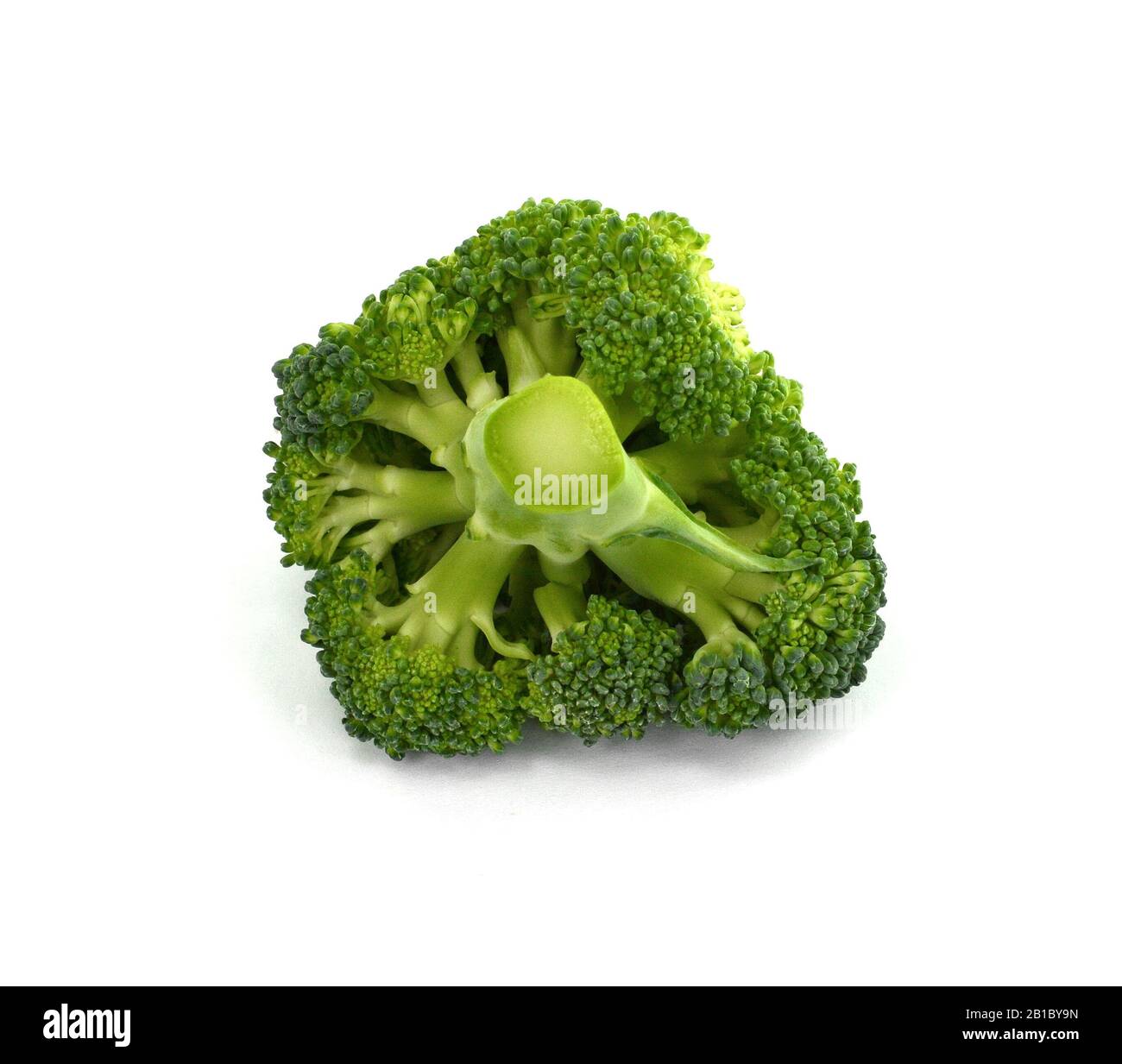 Le brocoli isolé sur un fond blanc. Le brocoli cru frais sur la surface blanche. Banque D'Images