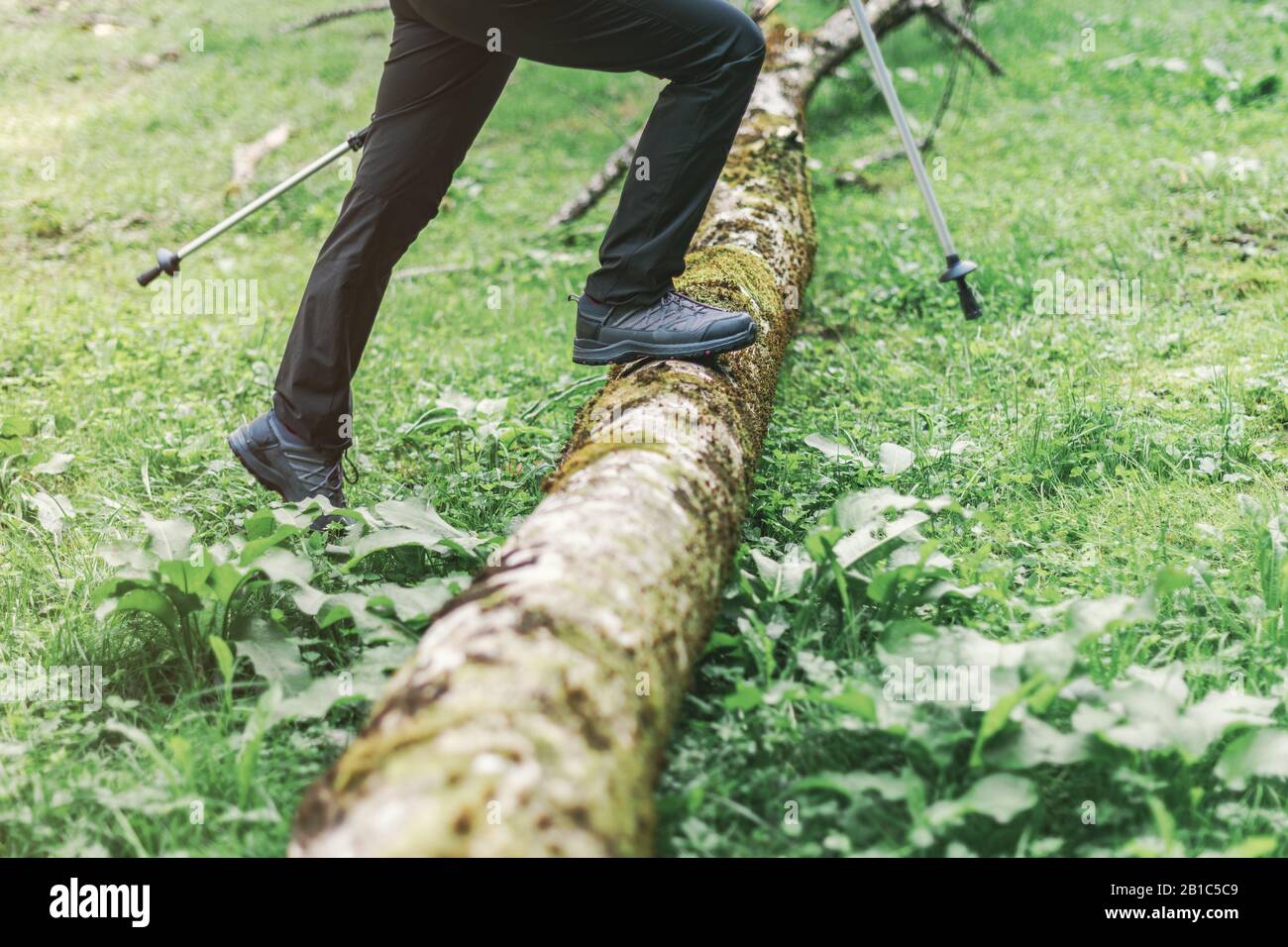 Randonnée chaussure de randonnée en forêt, selective focus de female hiker pieds marcher en forêt Banque D'Images