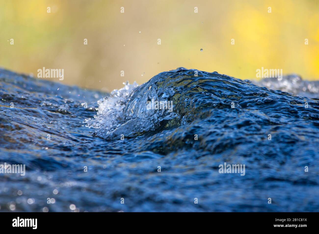 Détails de l'eau dans une rivière à Serra da Estrela Banque D'Images