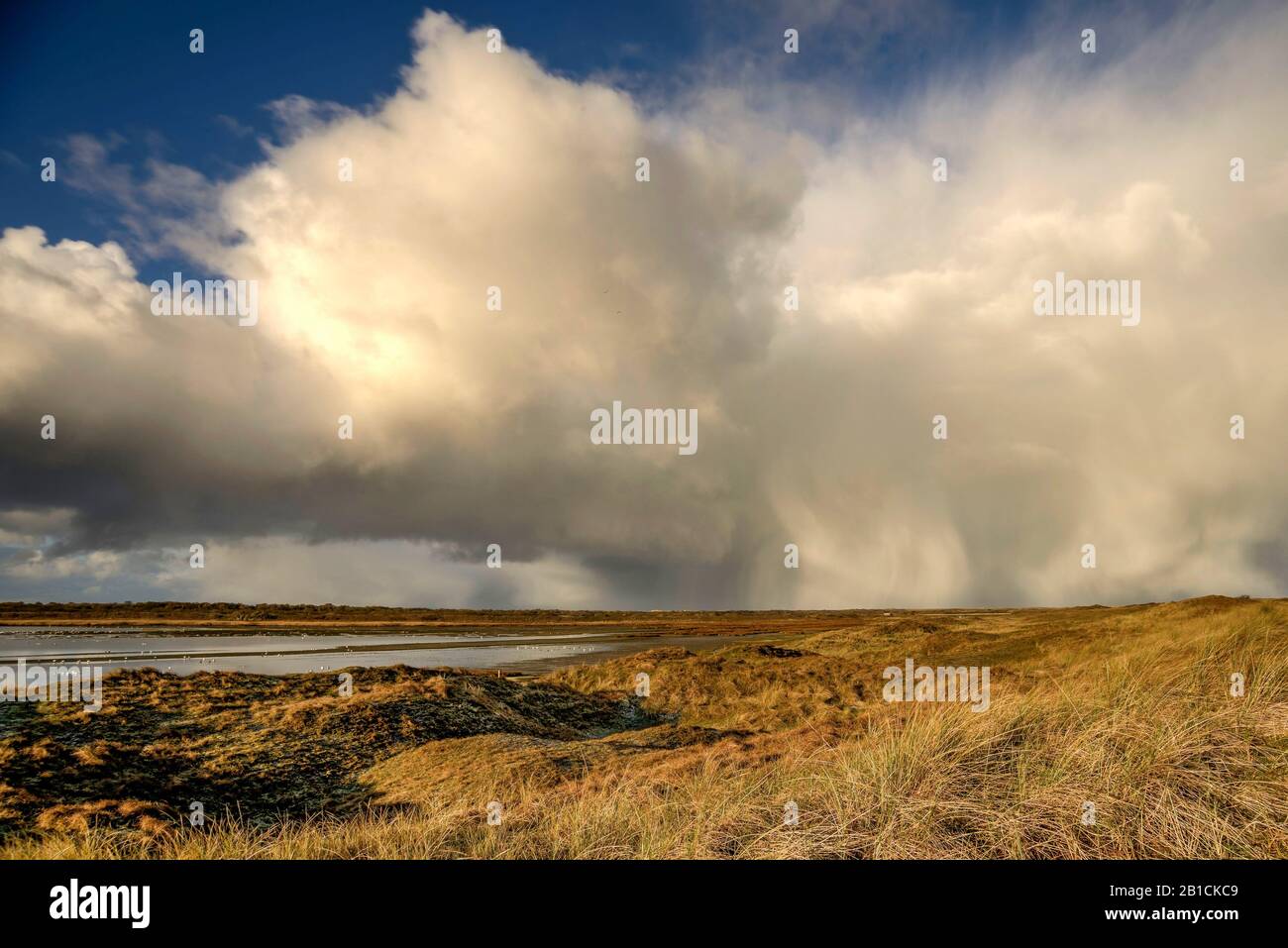 Cumulonimbus Cloud, Pays-Bas, Texel, Den Hoorn Banque D'Images
